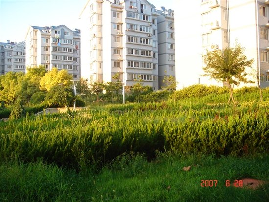 现代住宅小区规划设计的庭园景观设计发展现状