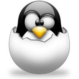 Linux网络设备驱动程序开发