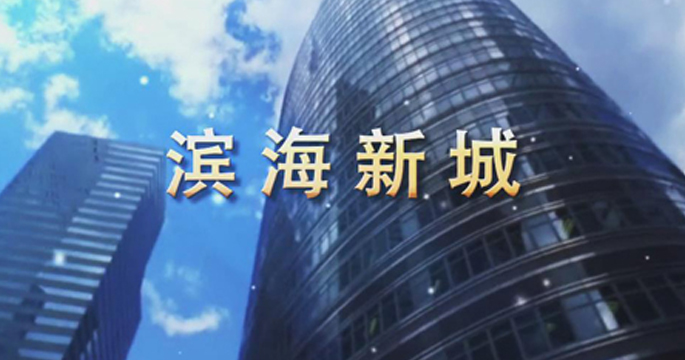 滨海新城·高铁时代