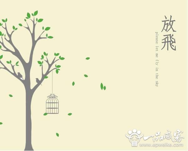 专业的ppt设计制作注意要点有哪些