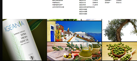 企业网站订制