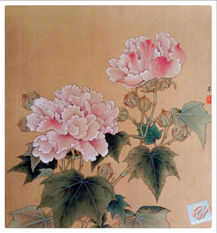 工笔画芙蓉图