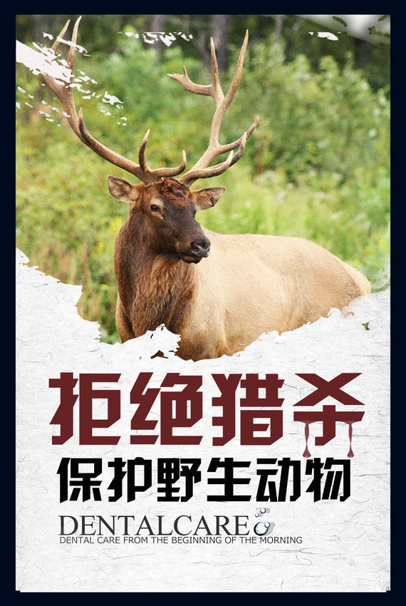拒绝猎杀保护野生动物海报欣赏