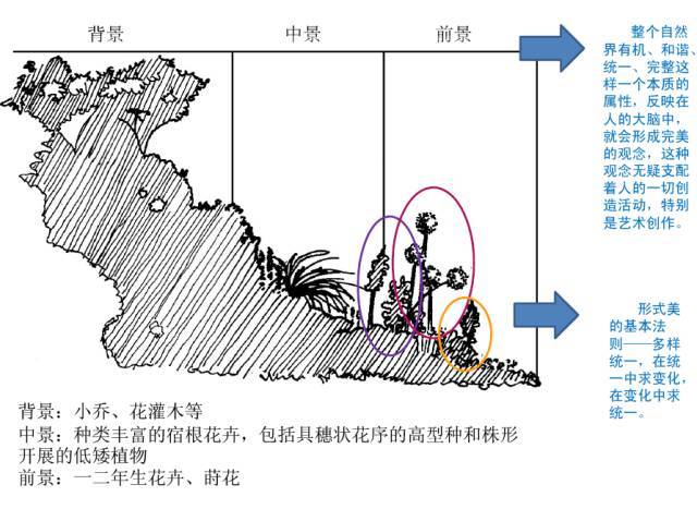 花境,该如何设计?