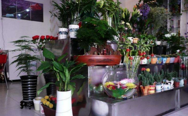 漂亮的成都鲜花店装修案例效果图赏析