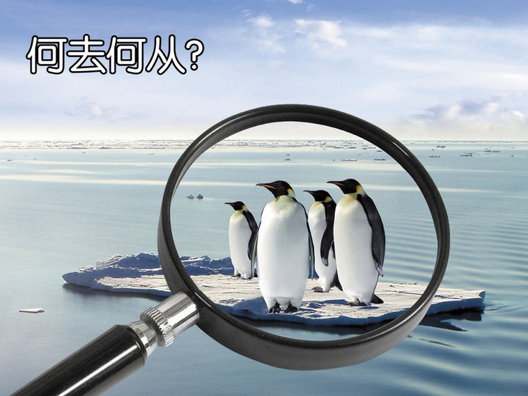 公益广告文案如何设计制作？10个公益广告文案案例欣赏