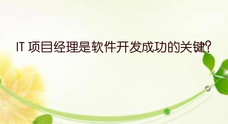 IT 项目经理是软件开发成功的关键？