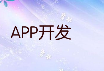 高质量的APP开发公司有什么特点?