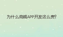 为什么商城APP开发这么贵？