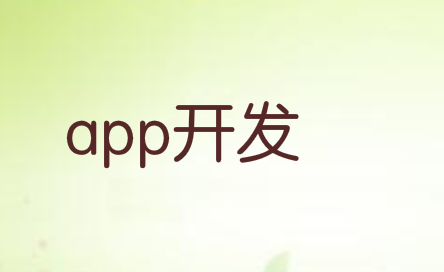APP开发定制:风一样的时代