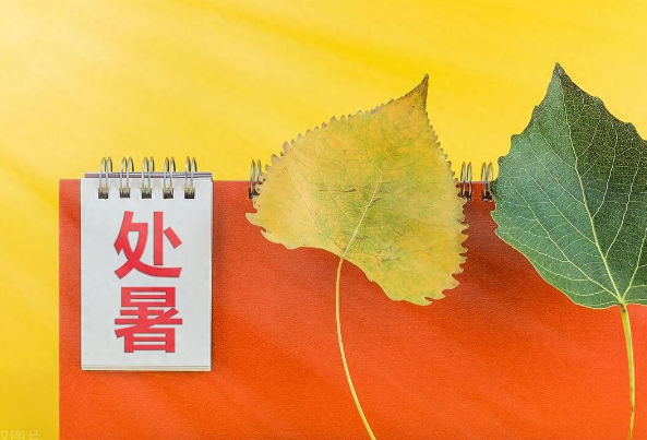 处暑精选文案 | 未觉夏已尽,时至已处暑